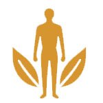 Male Wellness